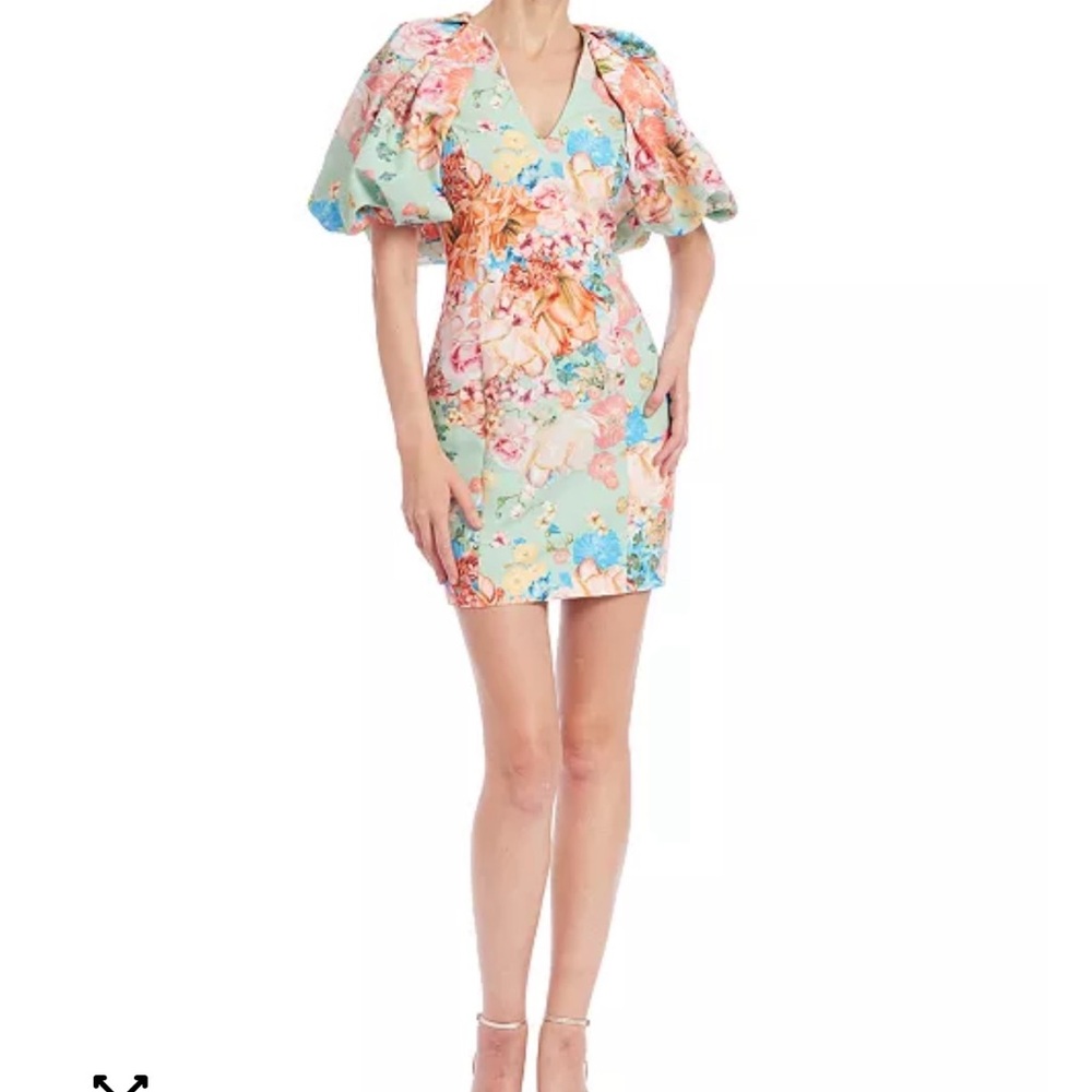 NWT!!! Never worn! Floral Puff Sleeve Dress